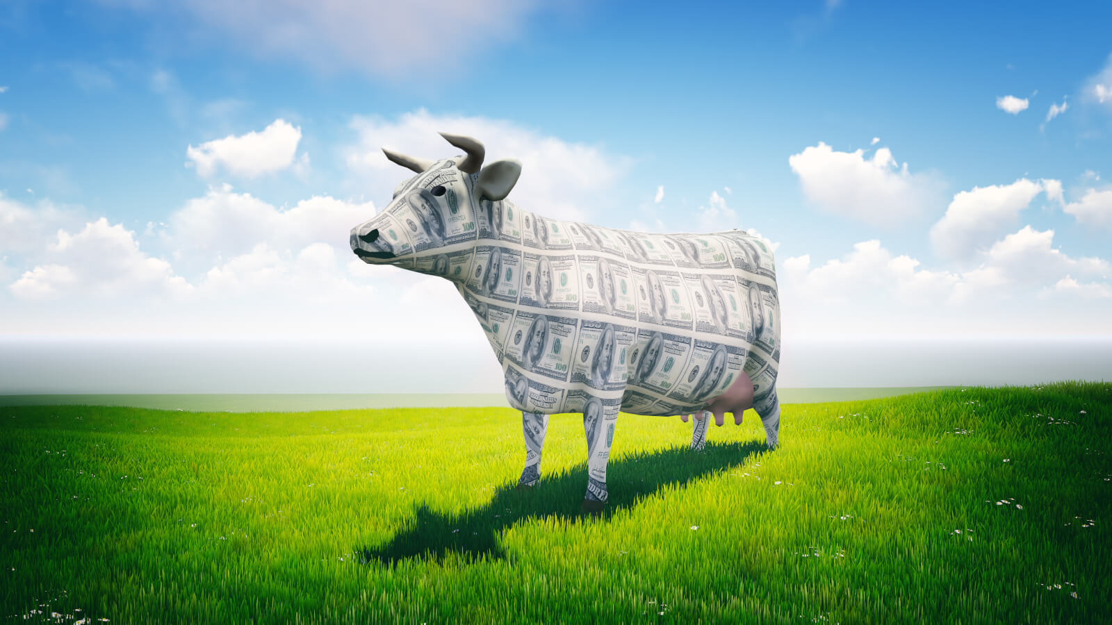 How to Create a Real Estate Cash Cow