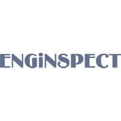 EngInspect